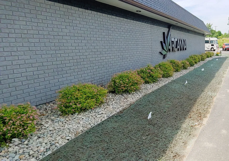 Exterior view of a building with a grey brick wall, a row of trimmed bushes in a white pebble bed, and a large wall sign visible along its length.