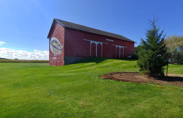 Wide shot of a red barn on a gentle hill, with a green lawn and a small evergreen tree to the right under a bright blue sky.